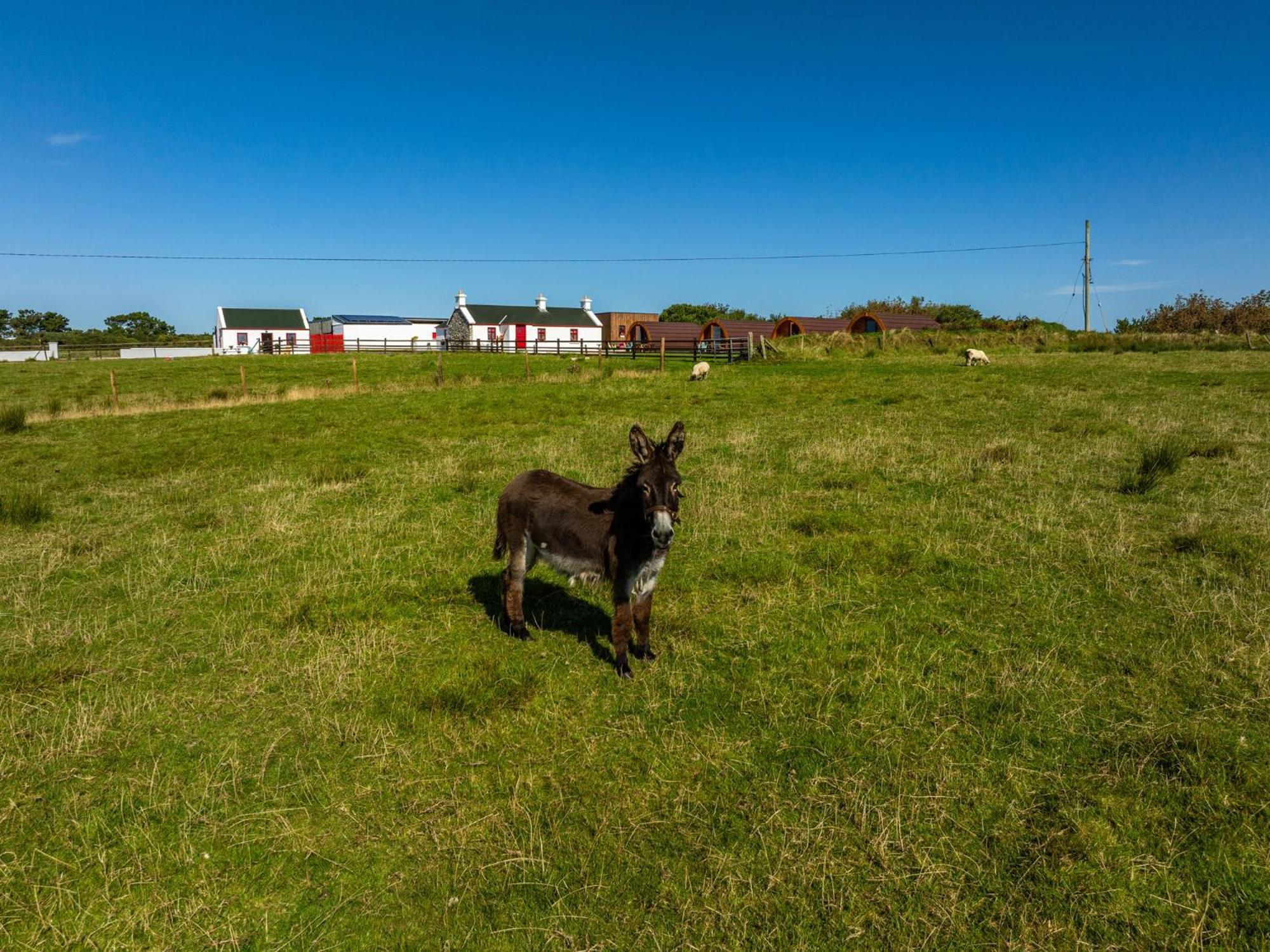 Geraghtys Farmyard Pods Hotel Belmullet Eksteriør billede